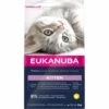 Eukanuba Kätzchenfutter Mit Huhn Und Reis - Von 1 Bis 12 Monaten 1 Eukanuba Kätzchenfutter Mit Huhn Und Reis - Von 1 Bis 12 Monaten -Deutschland Mieze Futter Verkaufs-Shop 2 kg Eukanuba killingefoder med kylling og ris fra 1 til 12 mdr p