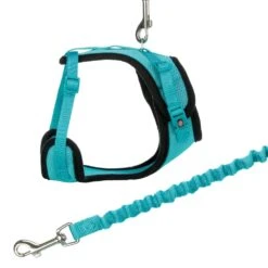 Trixie Katzen Y-Geschirr Mit Elastischer Leine 39 - 60 Cm 10 Mm 1 M - Farblich Sortiert -Deutschland Mieze Futter Verkaufs-Shop 265059 PHO PRO CLIP 41890 4 p