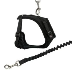 Trixie Katzen Y-Geschirr Mit Elastischer Leine 39 - 60 Cm 10 Mm 1 M - Farblich Sortiert -Deutschland Mieze Futter Verkaufs-Shop 265060 PHO PRO CLIP 41890 7 p