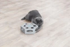 Trixie Katzenspielzeug Rotierende Feder ø 22 Cm Grau -Deutschland Mieze Futter Verkaufs-Shop 269509 PHO PRO CAT 46007 4 p