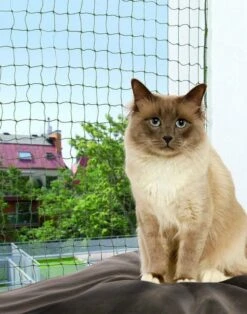 Trixie Schutznetz Verstärkt 3 X 2 M - Olivgrün