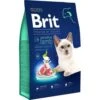 8 Kg Brit Premium By Nature Sensitive Katzenfutter Mit Lammfleisch Für Katzen 1 Bis 7 Jahre -Deutschland Mieze Futter Verkaufs-Shop Brit Premium by Nature Sensitive Lamb 8 kg 8595602553266 p