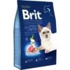 8 Kg Brit Premium By Nature Katzenfutter Mit Lammfleisch Für Sterilisierte Katzen Von 1 Bis 7 Jahren 1 8 Kg Brit Premium By Nature Katzenfutter Mit Lammfleisch Für Sterilisierte Katzen Von 1 Bis 7 Jahren -Deutschland Mieze Futter Verkaufs-Shop Brit Premium by Nature Sterilized Lamb 8 kg 8595602553242 p