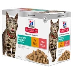 Hills Katzennassfutter 12 Stück A 85 G - Für übergewichtige Katzen