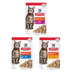 Hills Katzennassfutter In Mix-Happen 12 X 85 G - Von 1-6 Jahren 7 Hills Katzennassfutter In Mix-Happen 12 X 85 G - Von 1-6 Jahren -Deutschland Mieze Futter Verkaufs-Shop Hills20kattevC3A5dfoder20i20mix20bidder p