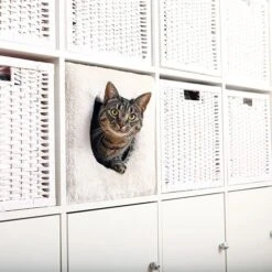 Trixie Katzenhaus Für Regale 37 X 33 X 33 Cm Hellgrau