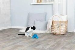 Trixie Katzenspielzeug Mit Motor 21 Cm X ø 15 Cm -Deutschland Mieze Futter Verkaufs-Shop Katte20LegetC3B8j20med20motor20C3B8201520x202120cm1 p