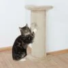 Trixie Katzenkratzbaum 75 Cm -Deutschland Mieze Futter Verkaufs-Shop Kradsesoejle 75 cm p