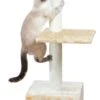 Trixie Katzenkratzbaum Badalona 109 Cm Beige 1 Trixie Katzenkratzbaum Badalona 109 Cm Beige -Deutschland Mieze Futter Verkaufs-Shop Kradsetrae Badalona 109 cm beige p