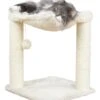 Trixie Katzenkratzbaum Baza 50 Cm -Deutschland Mieze Futter Verkaufs-Shop Kradsetrae Baza 50 cm p