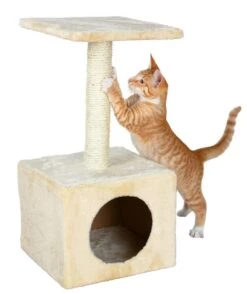 Trixie Katzenkratzbaum Zamora 61 Cm Beige Für Kätzchen