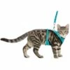 Trixie Katzen Y-Geschirr Mit Elastischer Leine 39 - 60 Cm 10 Mm 1 M - Farblich Sortiert -Deutschland Mieze Futter Verkaufs-Shop Y sele mesh kat m elastik line 39 60 cm 10 mm 1 00 m 4057589418906 p