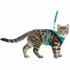 Trixie Katzen Y-Geschirr Mit Elastischer Leine 39 - 60 Cm 10 Mm 1 M - Farblich Sortiert
